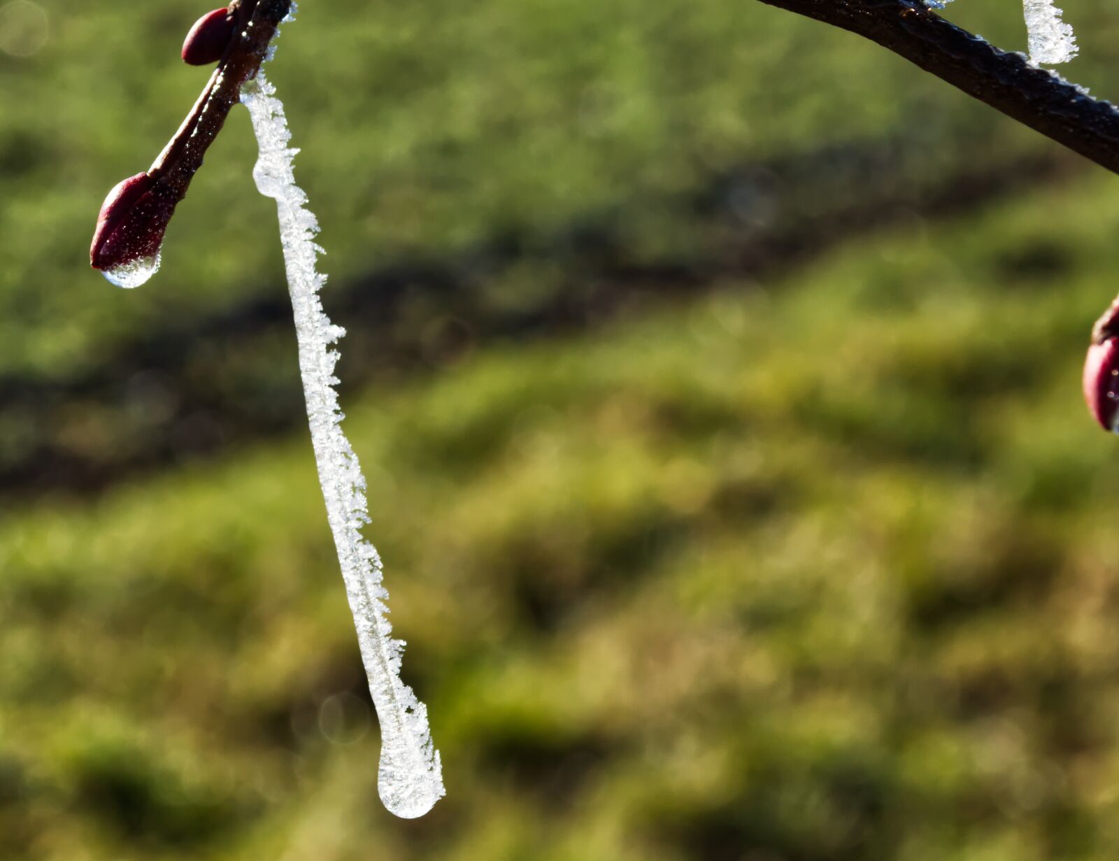 Nikon D5500 sample photo. Winter, ice, snow photography