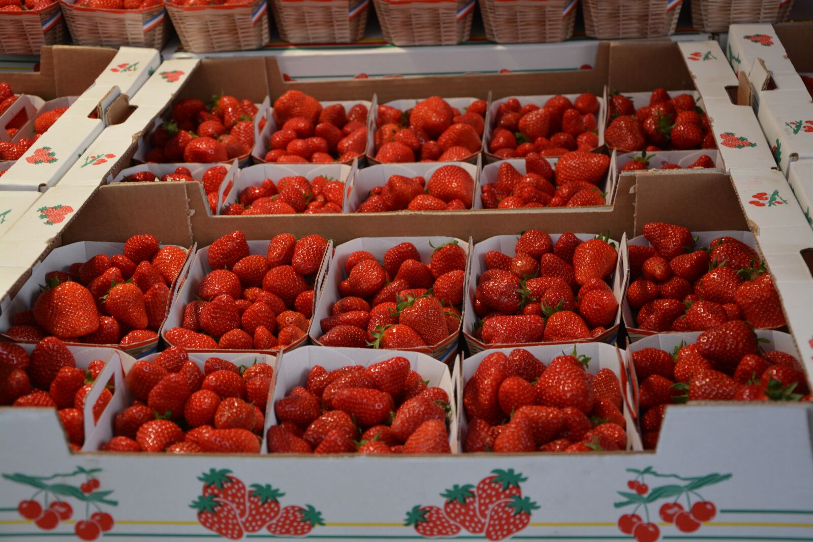 Nikon D5200 sample photo. Strawberries, trays, red photography