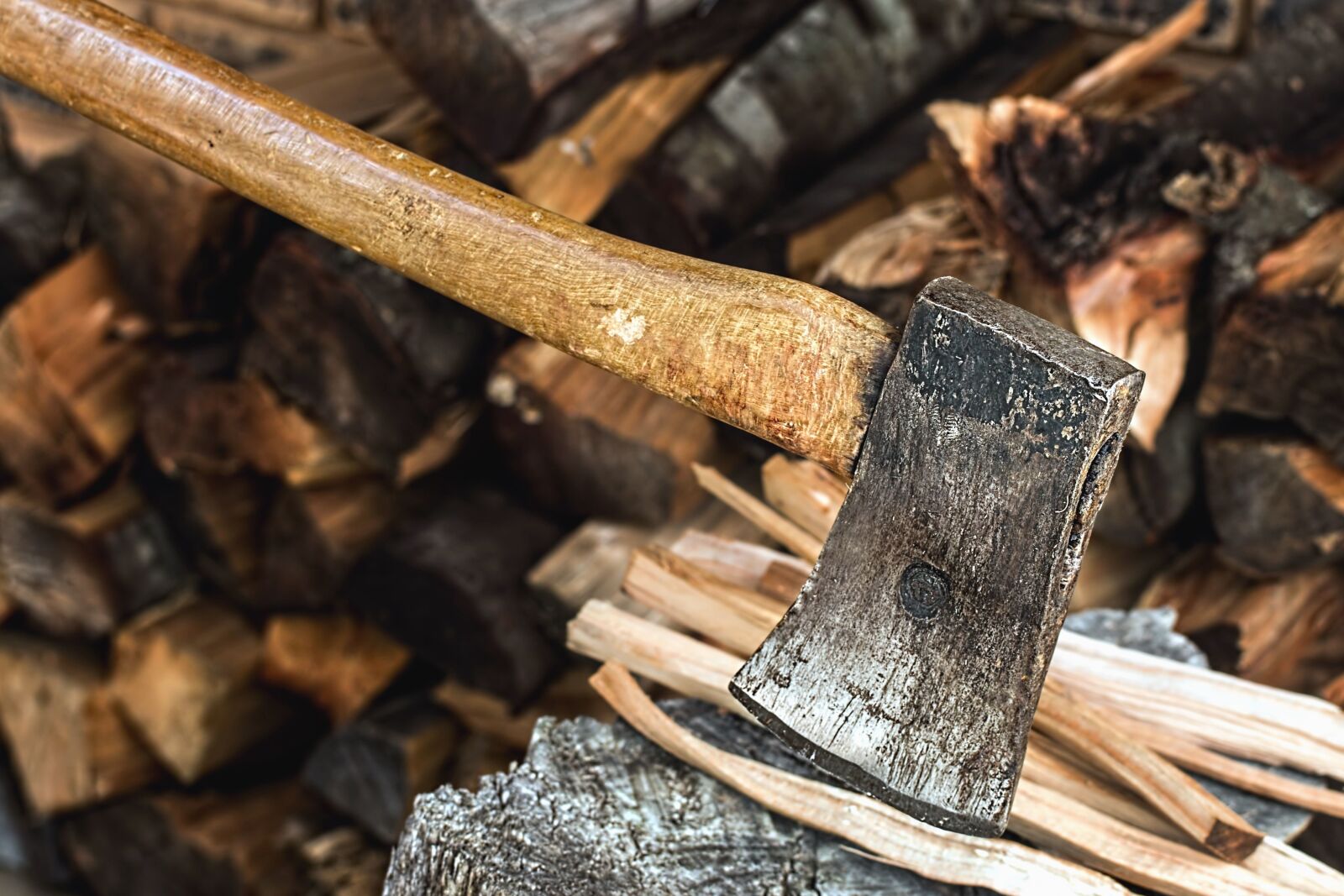 Canon EOS 70D sample photo. Hatchet, tree, stump, metal photography
