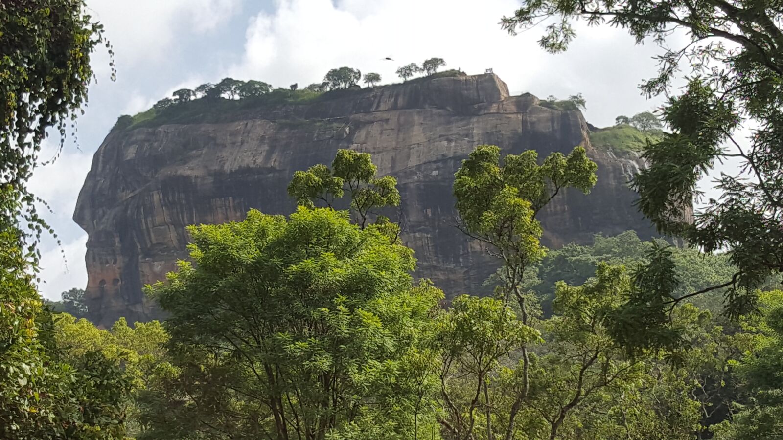 Samsung GALAXY S6 edge sample photo. The lion rock, rolling photography