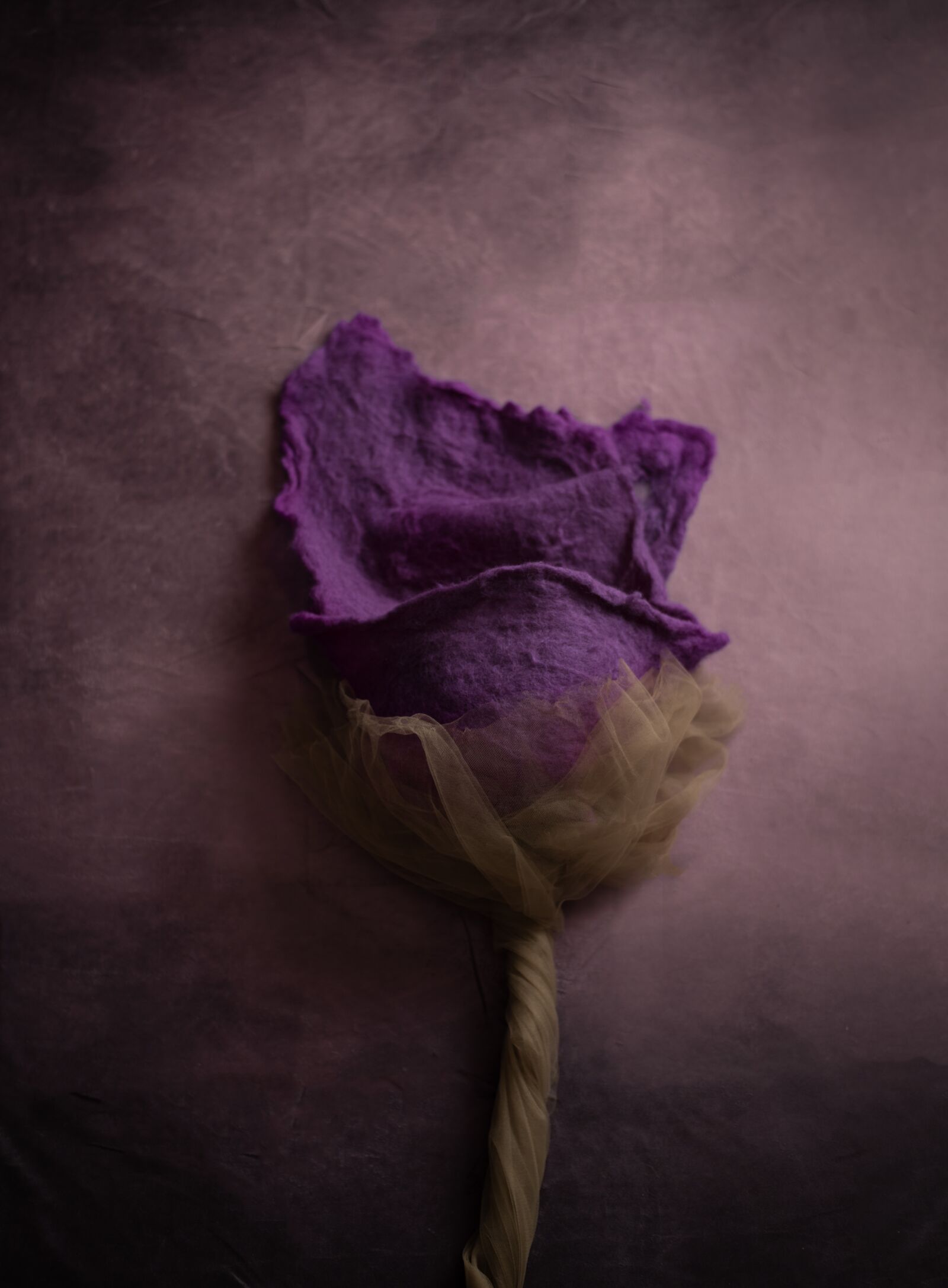 Nikon D750 sample photo. Flower, felt, newborn photography