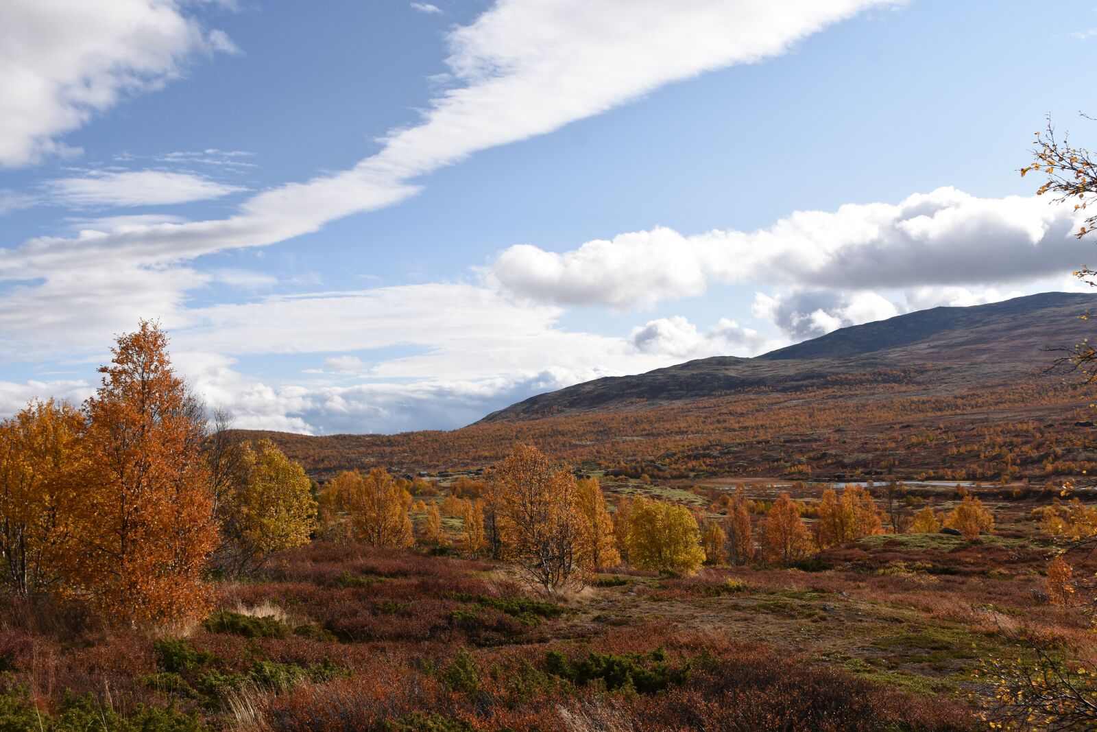 Nikon D7200 sample photo. Valdres, norway, mountain photography