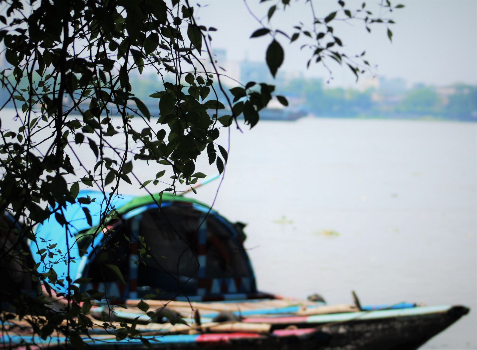 Canon EF 75-300mm f/4-5.6 sample photo. Ganga_kolkata photography