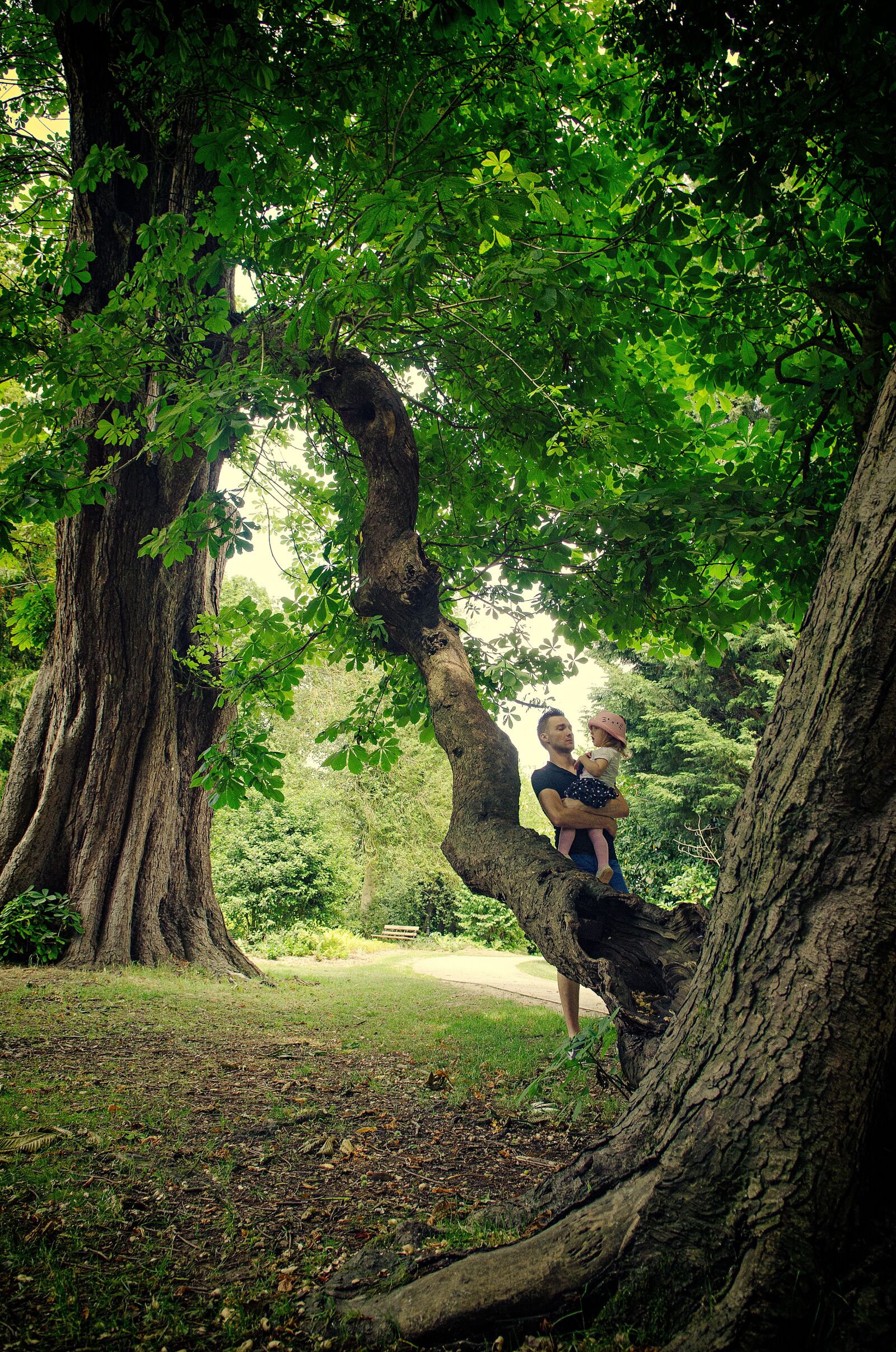 Nikon D7000 sample photo. Family, trees, nature photography