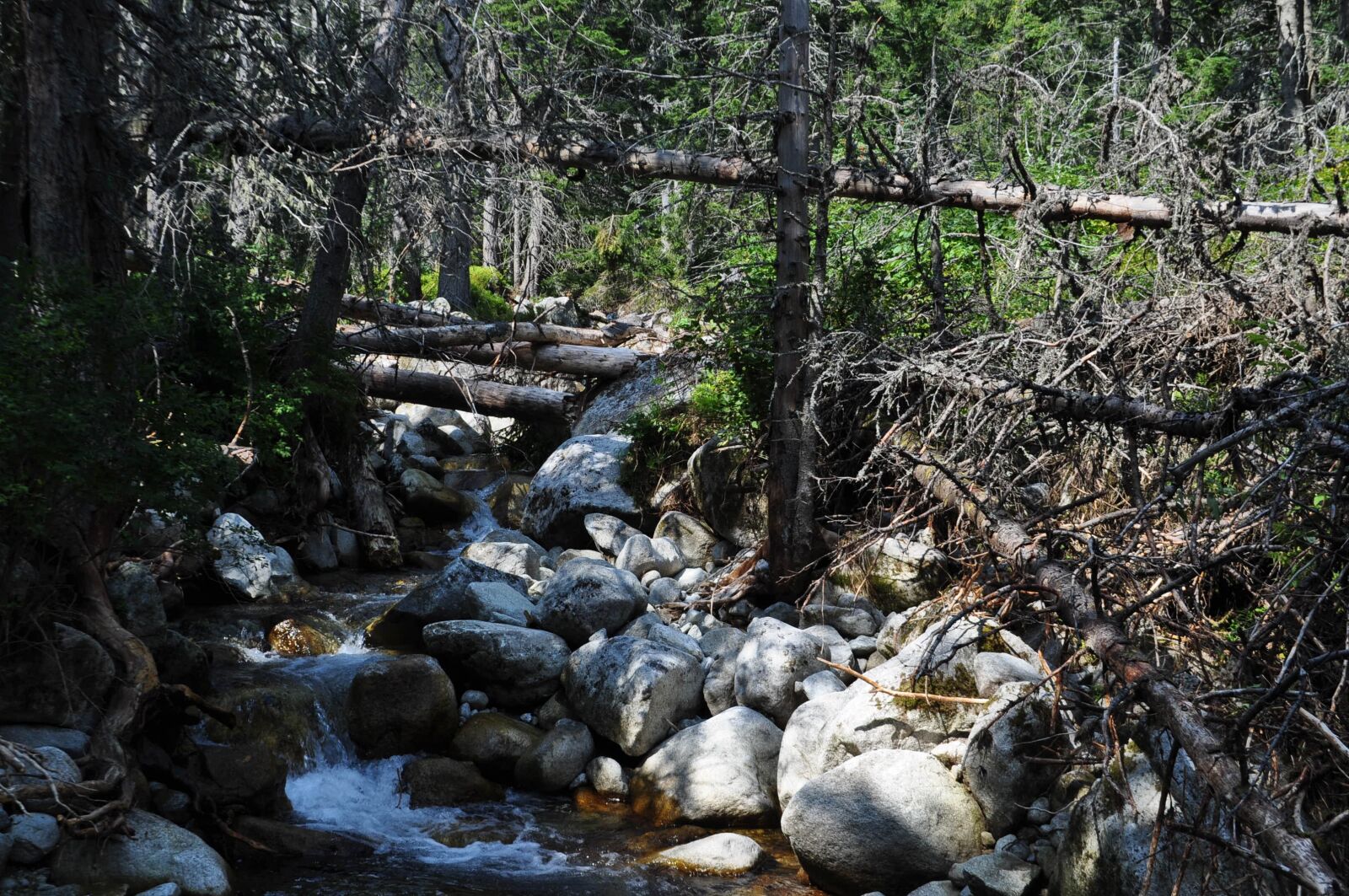 Nikon D5000 sample photo. Tatry, tops, tourism photography