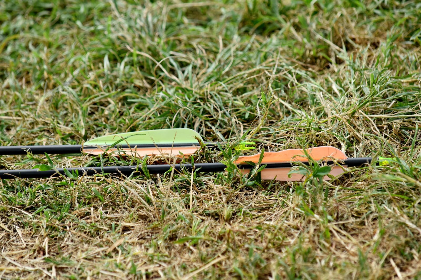 Nikon D5500 sample photo. Archery, arrow, grass, nature photography