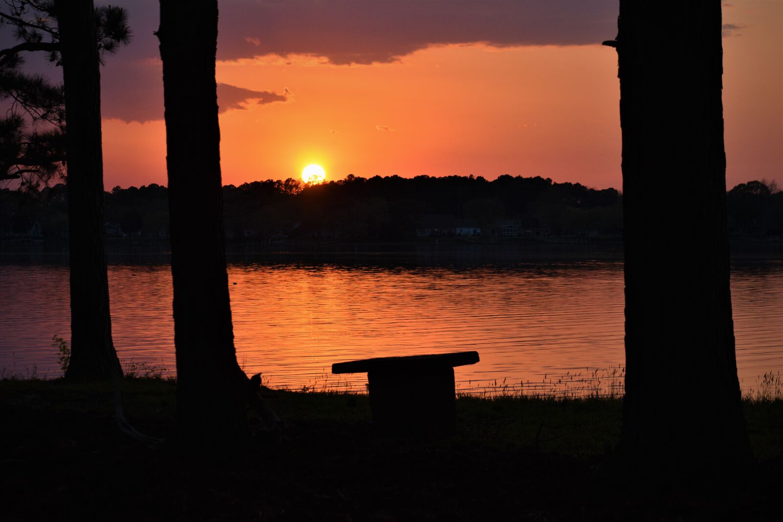 Nikon D5600 sample photo. Sunset, water, sky photography
