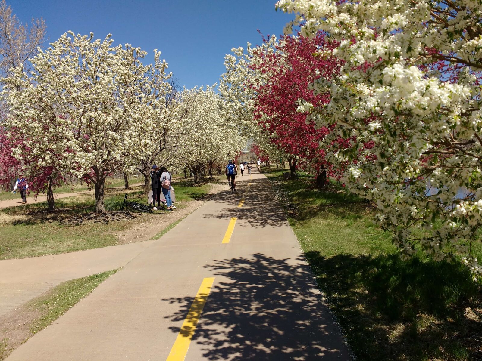 Motorola MotoG3 sample photo. Garden, people, road, spring photography