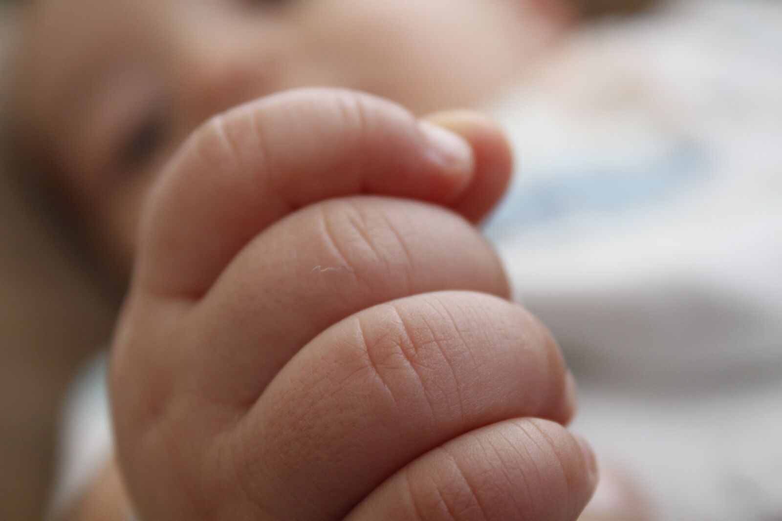Canon EOS 500D (EOS Rebel T1i / EOS Kiss X3) sample photo. Newborn, little, petite photography