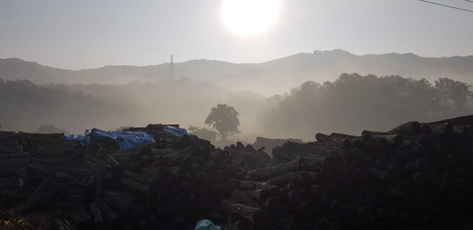 Samsung SM-N950N sample photo. Fog, wood, mountain photography