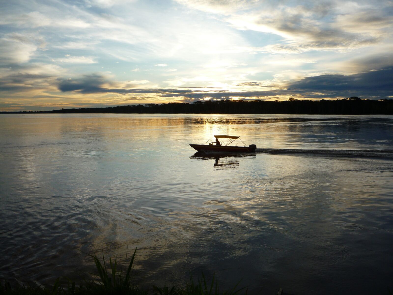 Panasonic DMC-FS5 sample photo. Amazonia, madeira river, nature photography