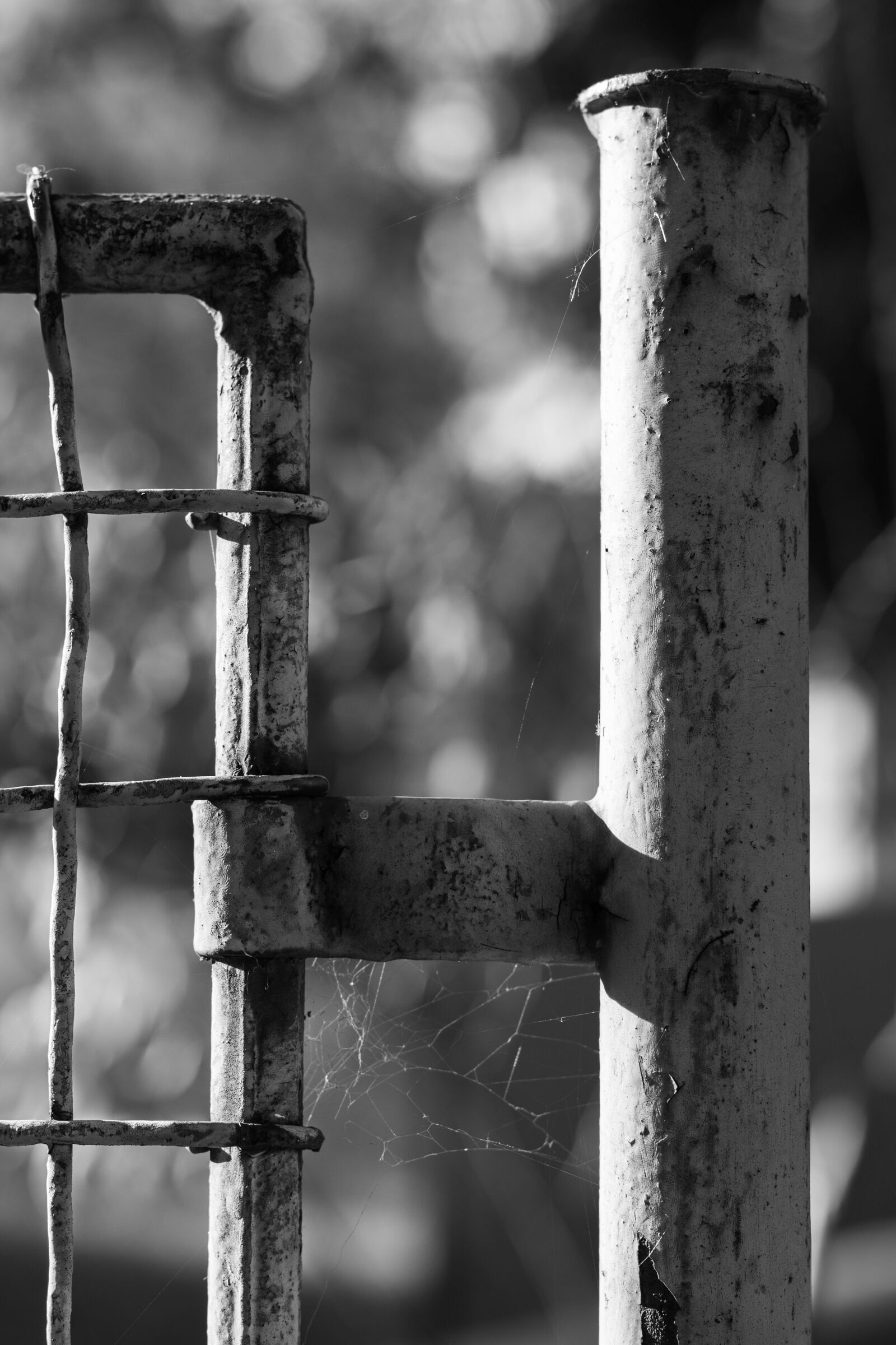 Canon EOS 700D (EOS Rebel T5i / EOS Kiss X7i) + Canon EF 50mm F1.8 STM sample photo. Fence, wires, web photography