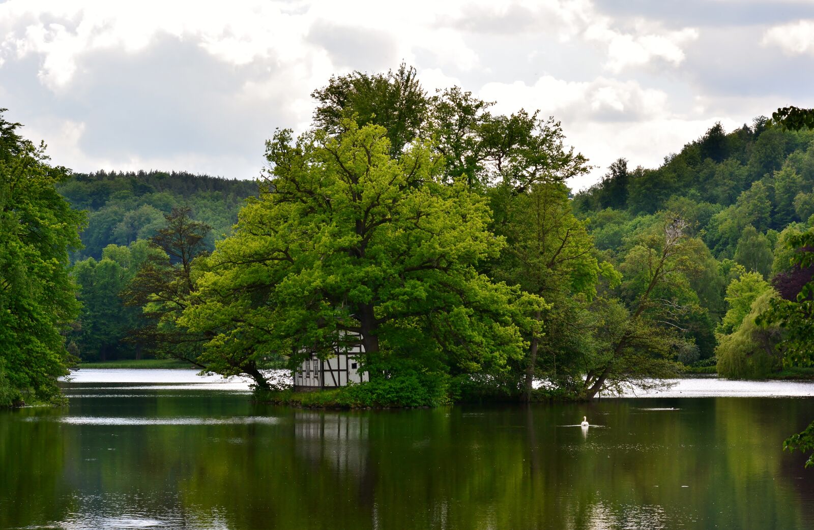 Nikon D5200 sample photo. Greiz, park lake, swan photography