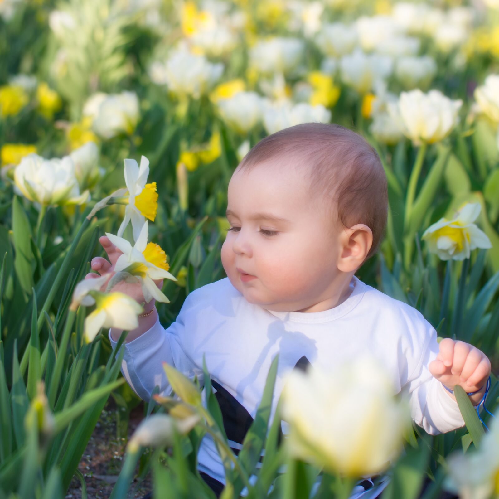 Nikon D7200 sample photo. Baby, boy, child photography