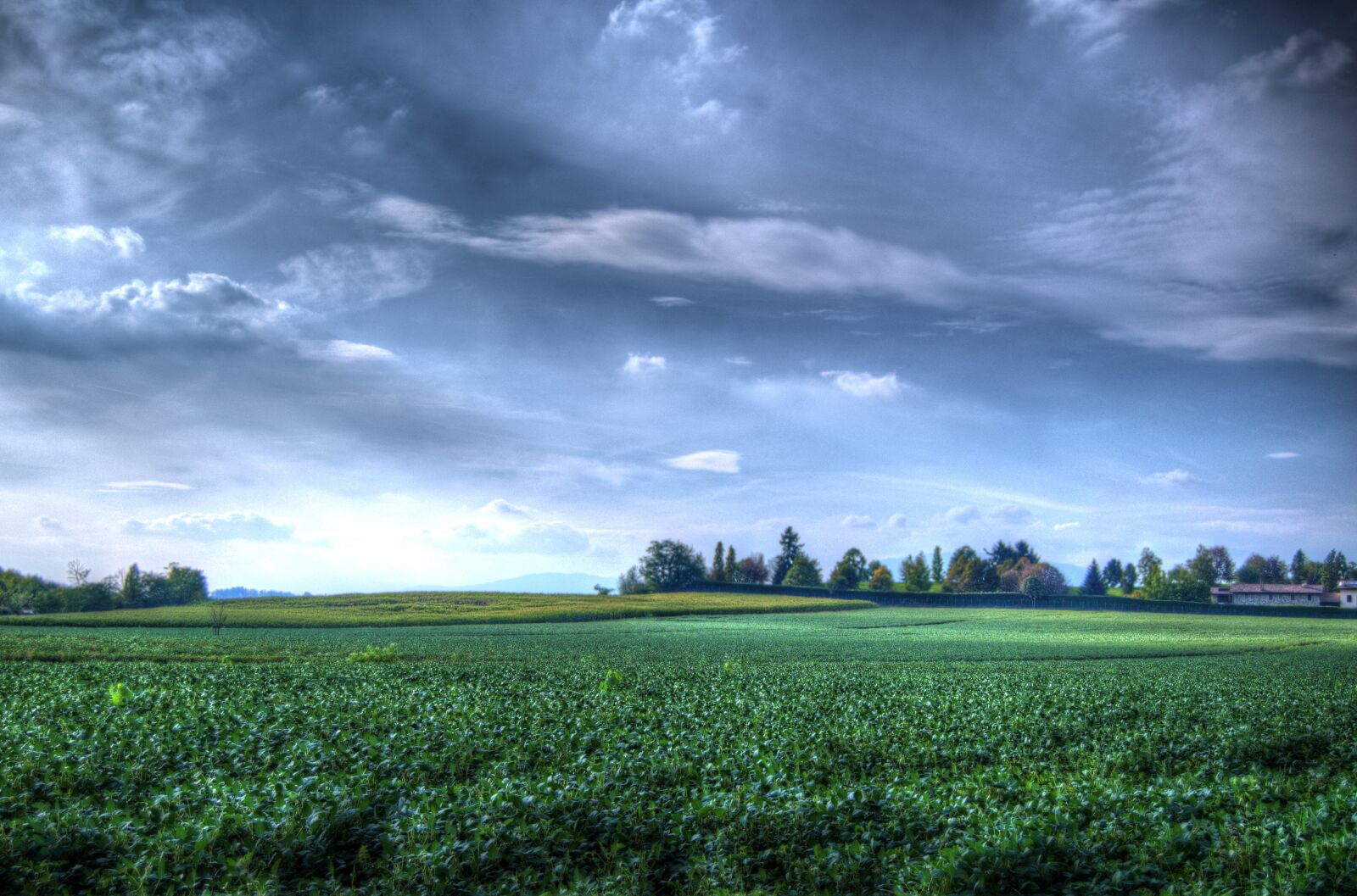 Nikon D5100 sample photo. Landscape, campaign, green photography