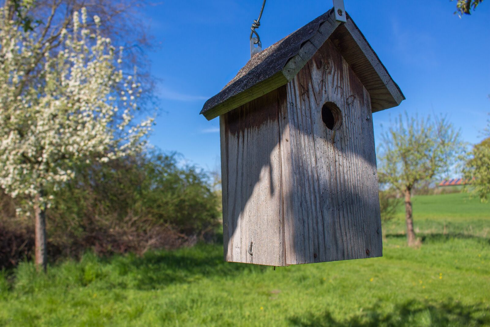 Canon EOS 700D (EOS Rebel T5i / EOS Kiss X7i) sample photo. Nesting box, aviary, nest photography