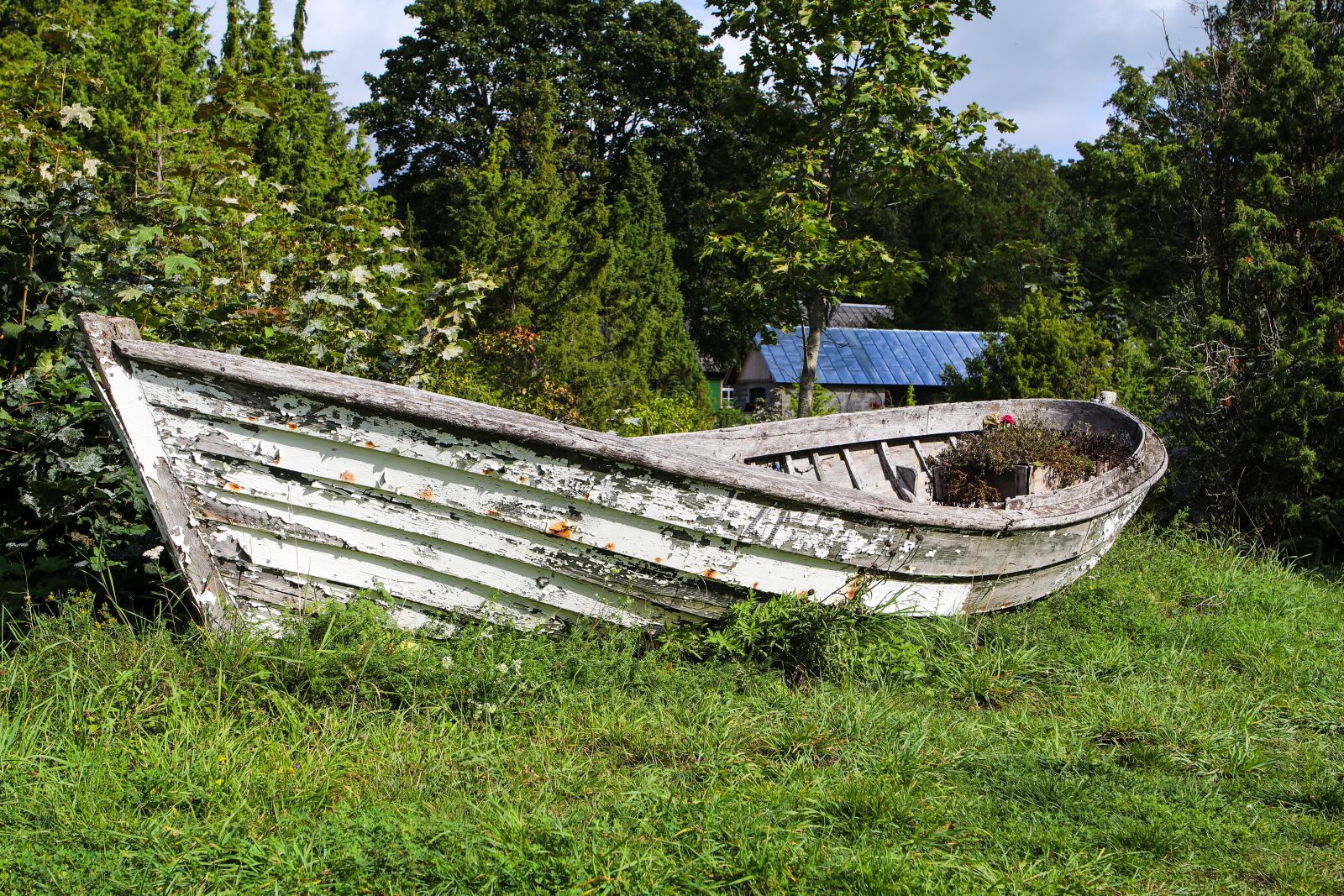 Canon EOS 80D + Canon EF 24-70mm F2.8L USM sample photo. Boat, wreck, meadow photography