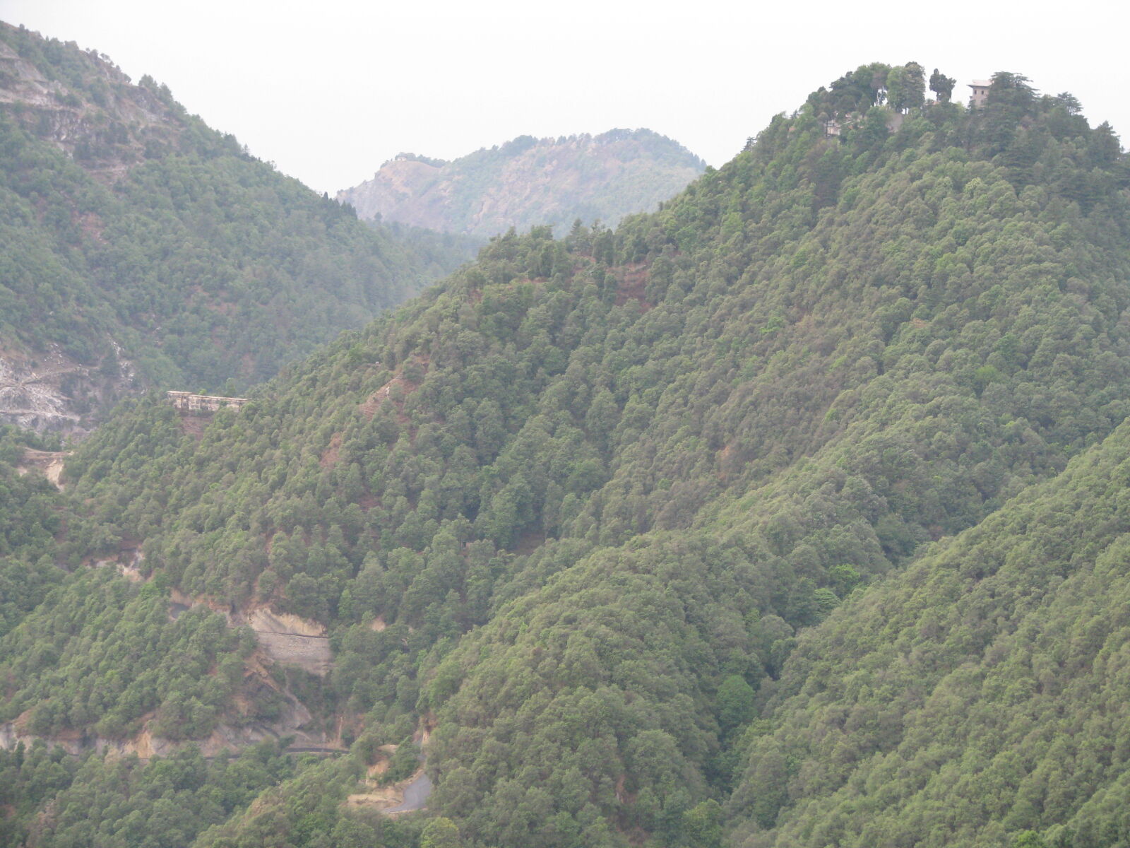 Canon POWERSHOT S5 IS sample photo. Greenery, himachal, mussoorie photography