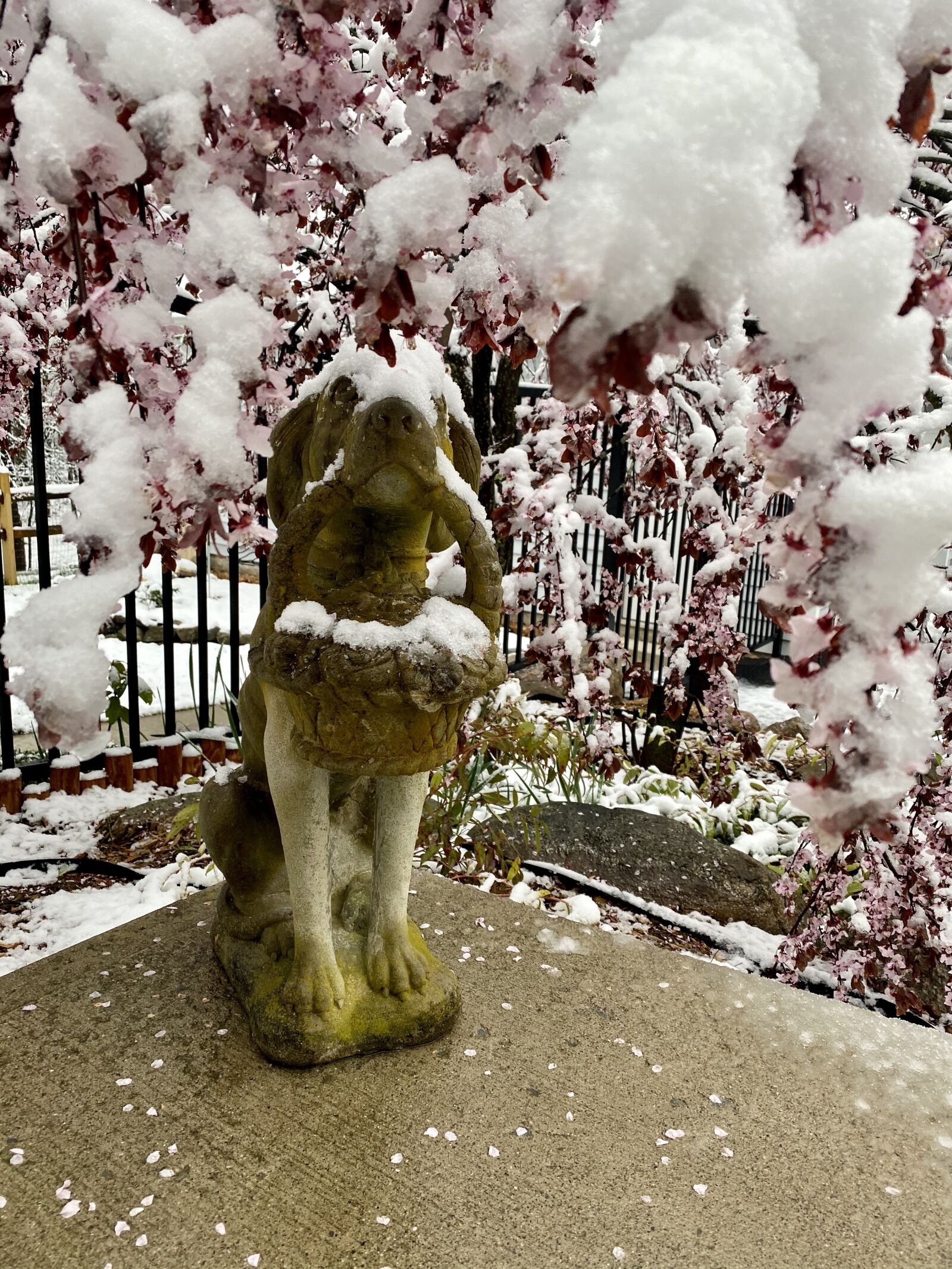 Apple iPhone 11 sample photo. Spring, snow, statuary photography