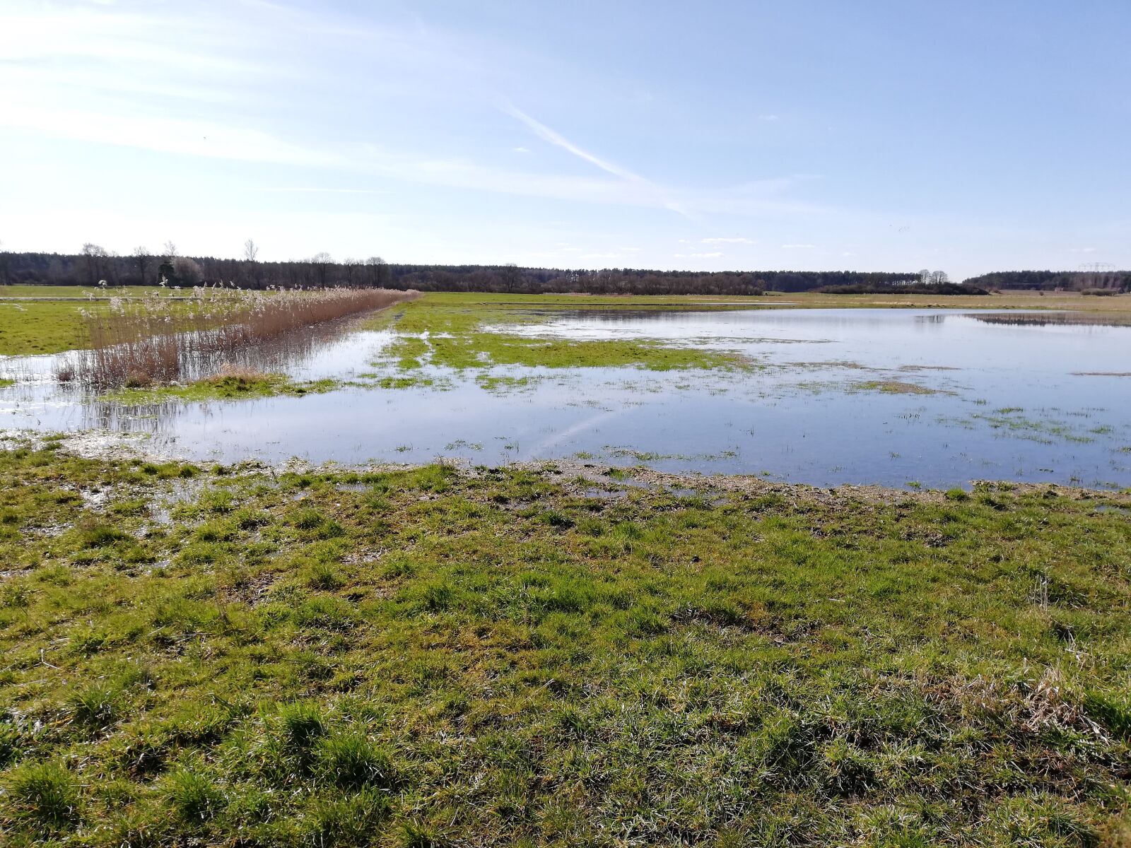 HUAWEI P20 lite sample photo. Flooded meadows, dobbertin, dobbin photography