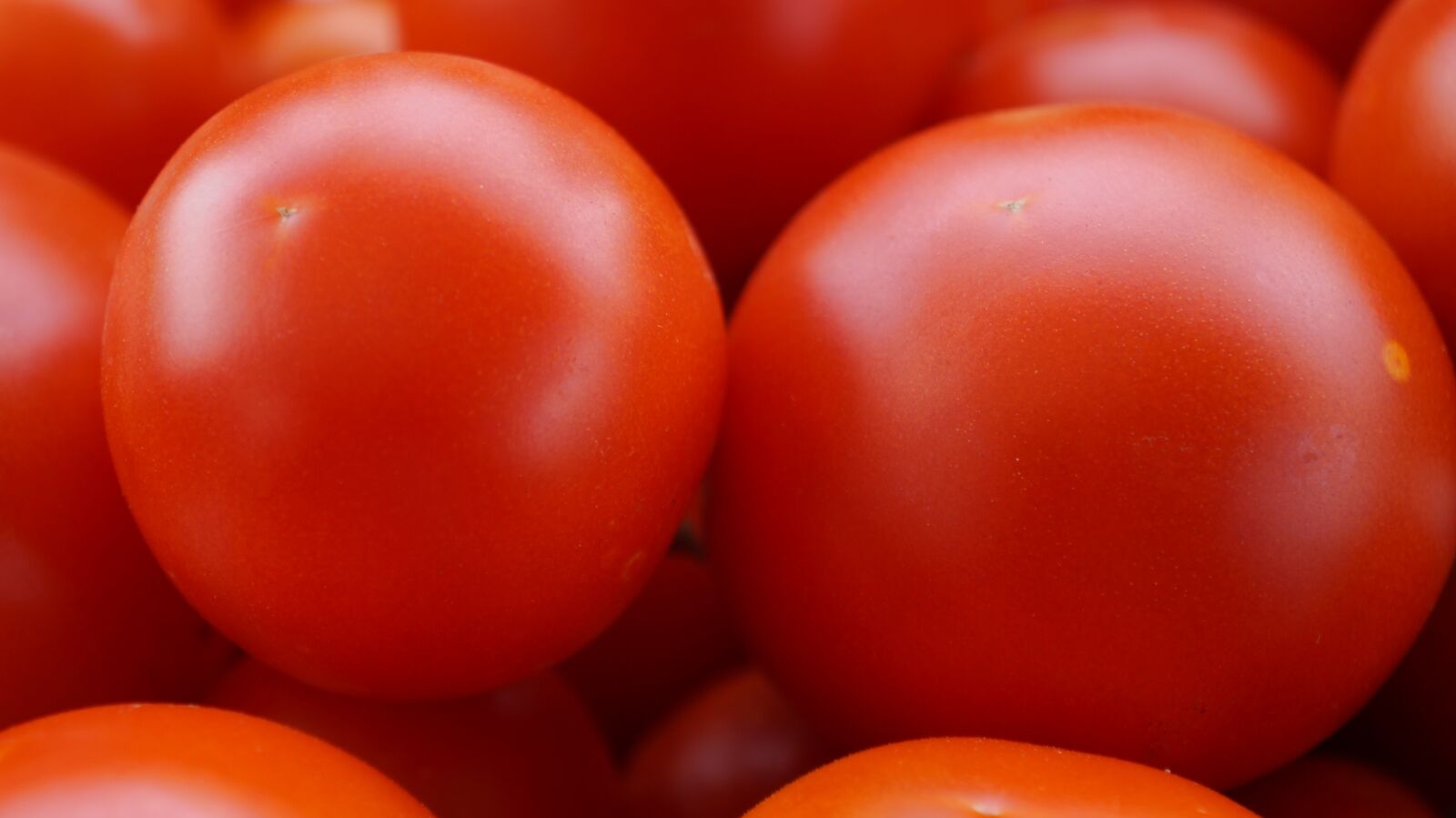 Sony Alpha a3000 sample photo. Tomatoes, ripe, food photography