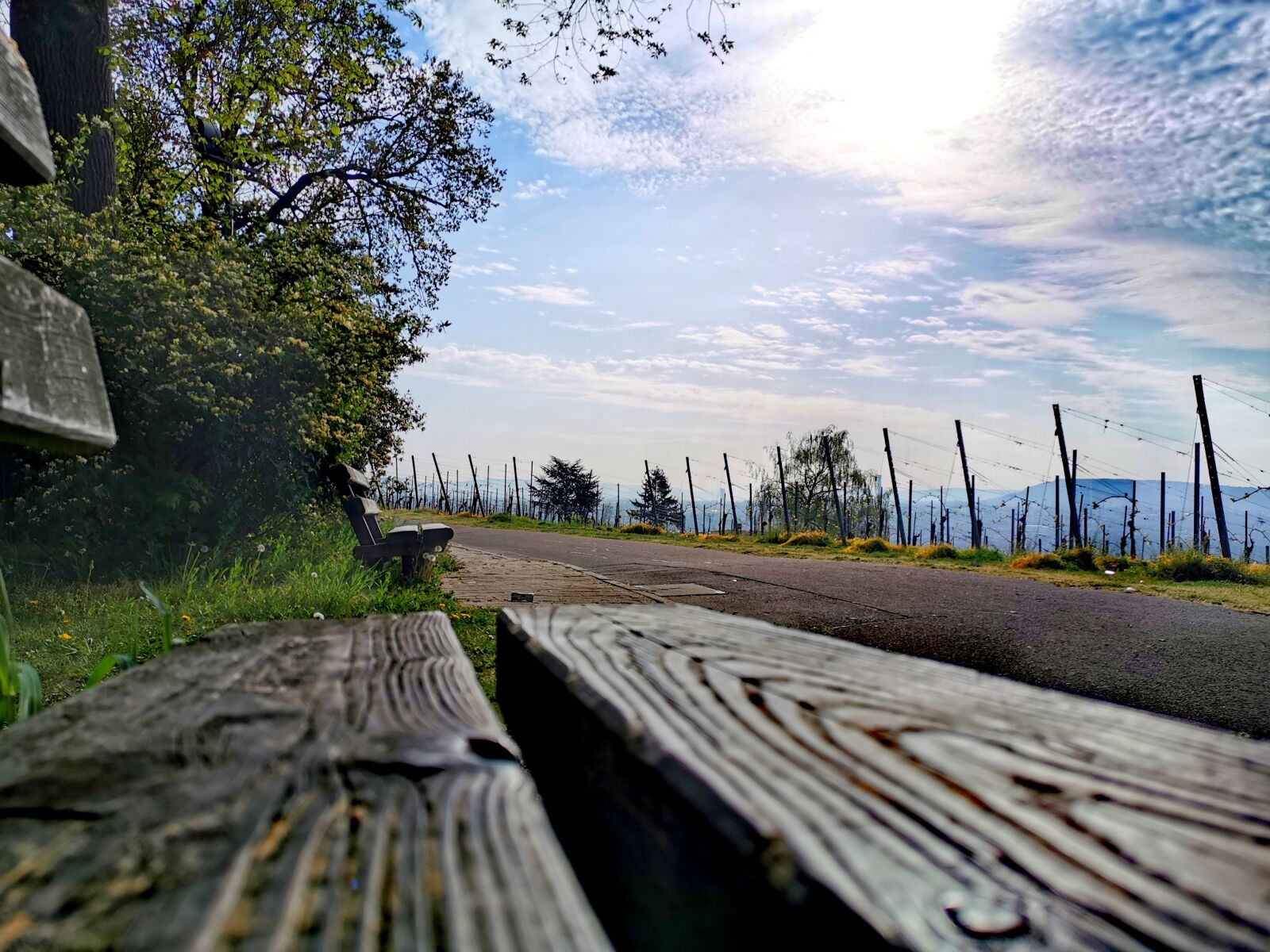 HUAWEI P30 sample photo. Sunshine, bank, sky photography