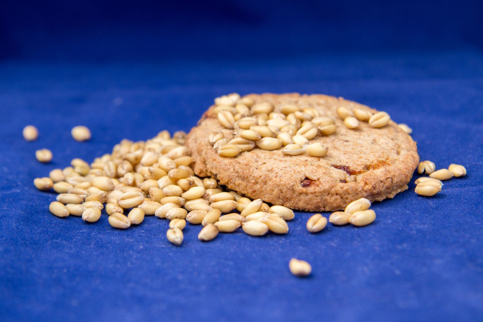 Canon EF-S 17-85mm F4-5.6 IS USM sample photo. Health, food, tasty photography