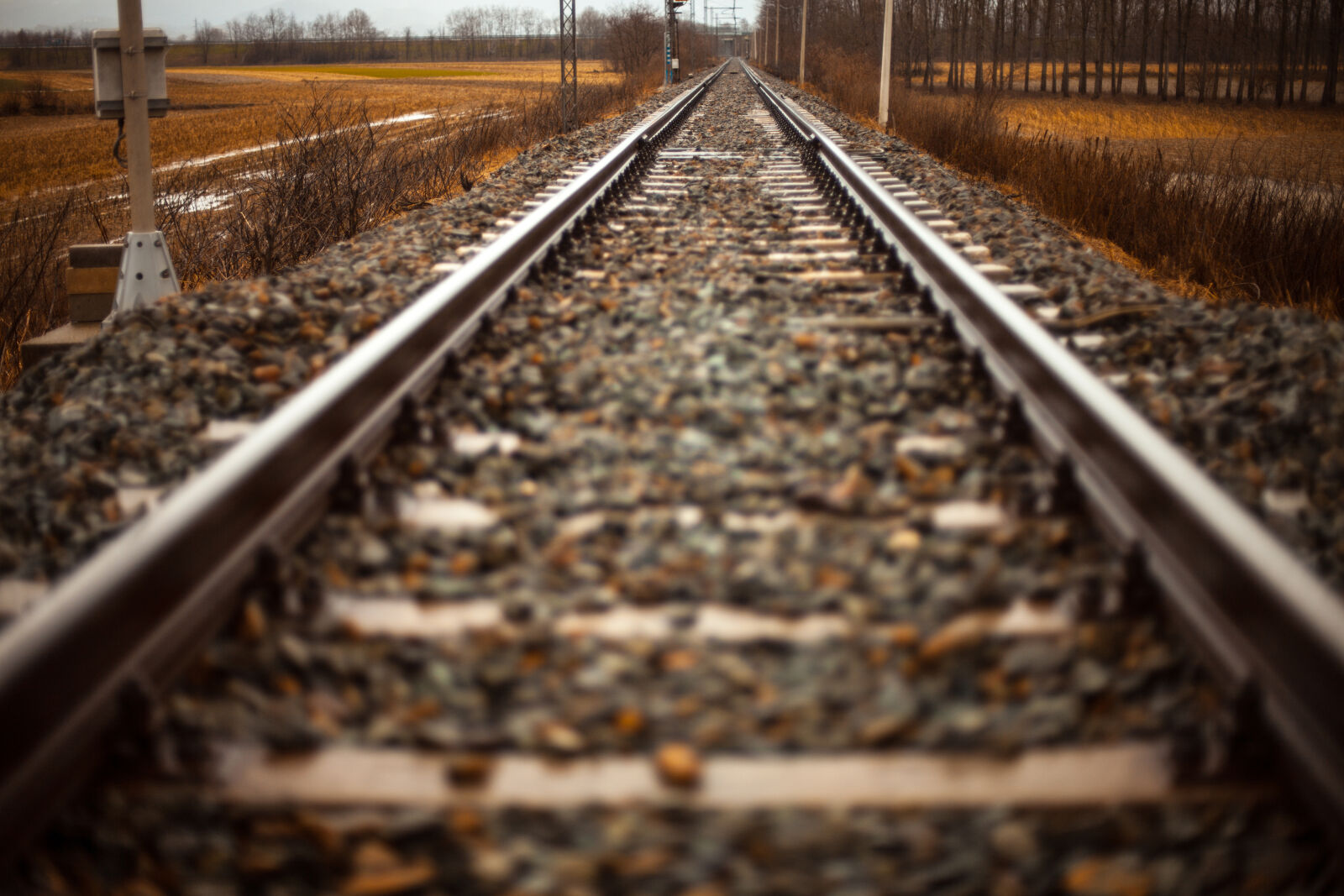 Canon EOS 5D Mark II sample photo. Path, railroad, rails, straight photography