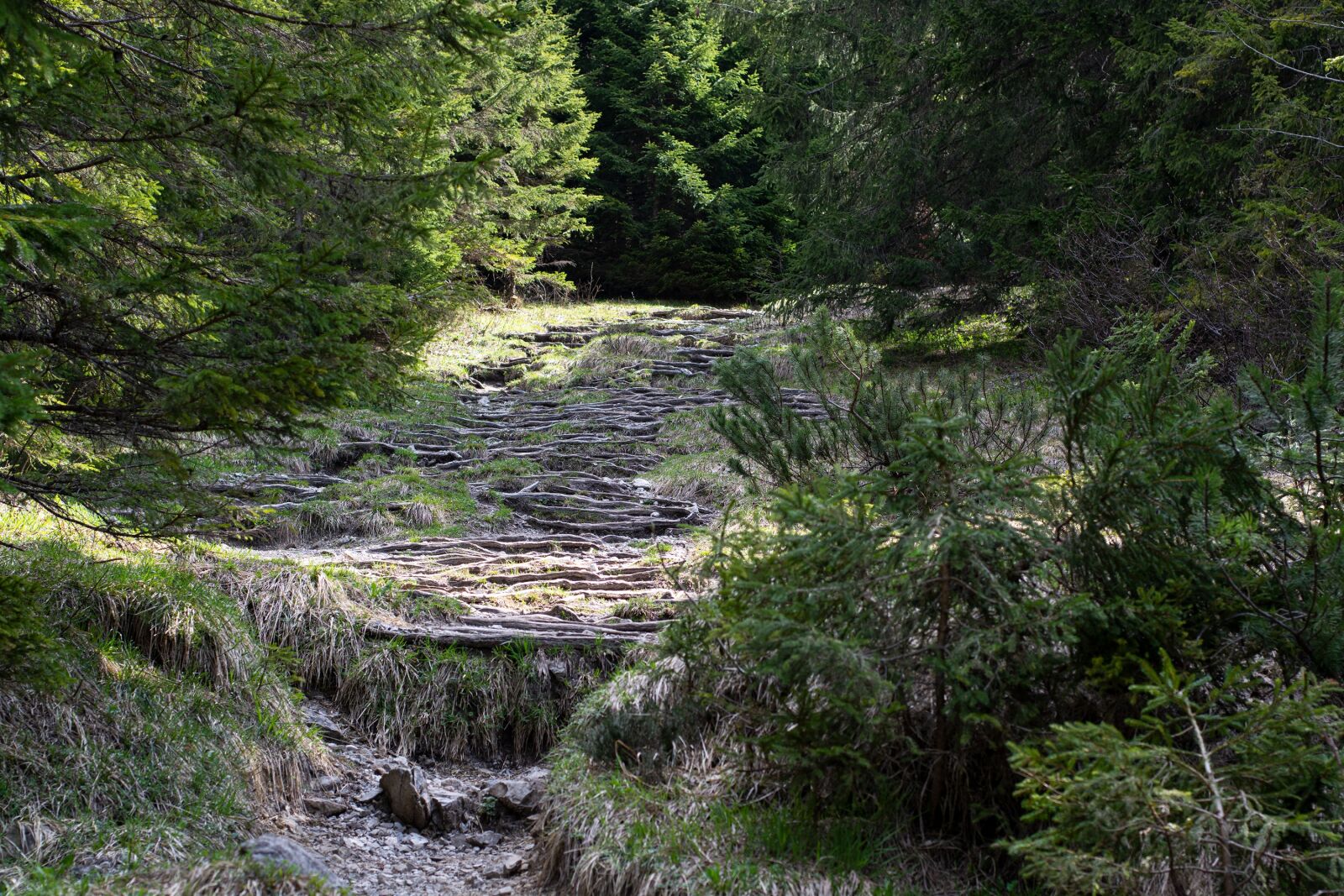 Nikon D7100 sample photo. Away, nature, landscape photography