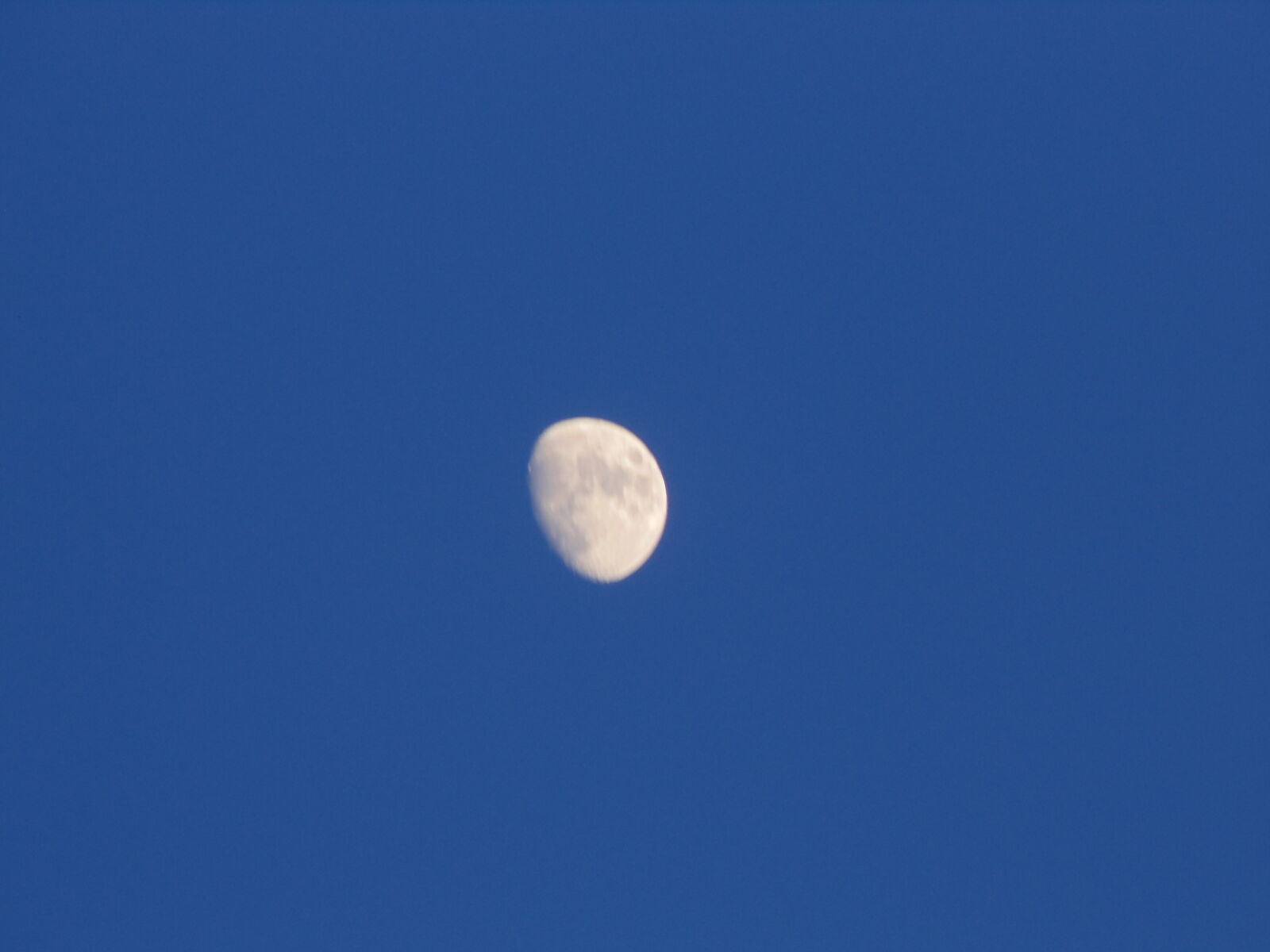 Sony DSC-H100 sample photo
