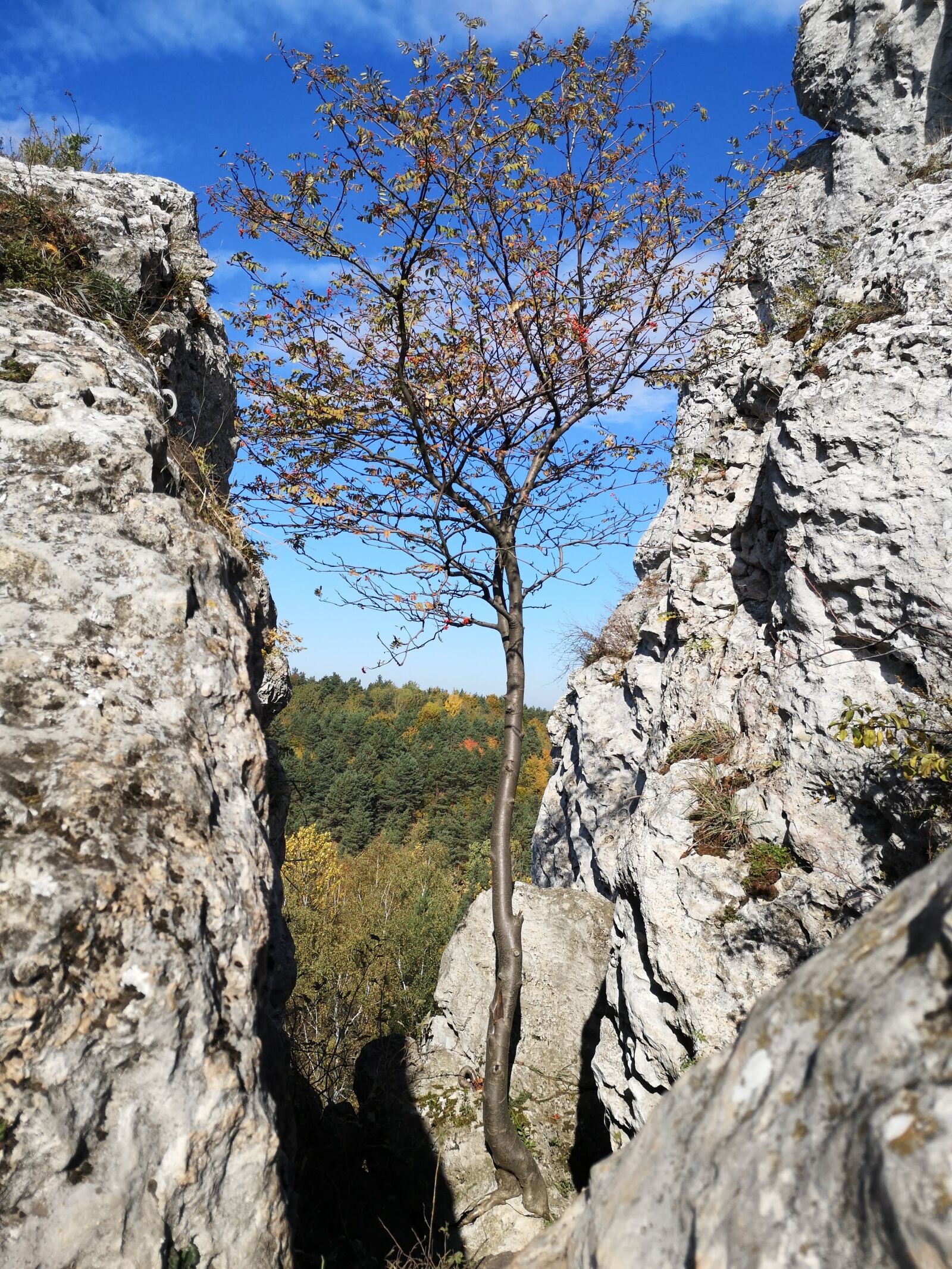 HUAWEI P20 sample photo. View, rocks, limestones photography