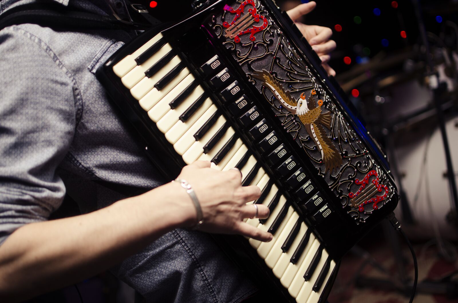Nikon D7000 sample photo. Accordion, harmonica, acordeon photography