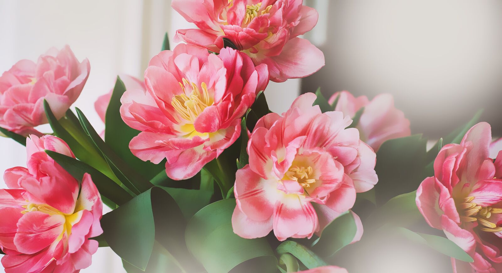Nikon D7100 sample photo. Tulips, flowers, bouquet photography