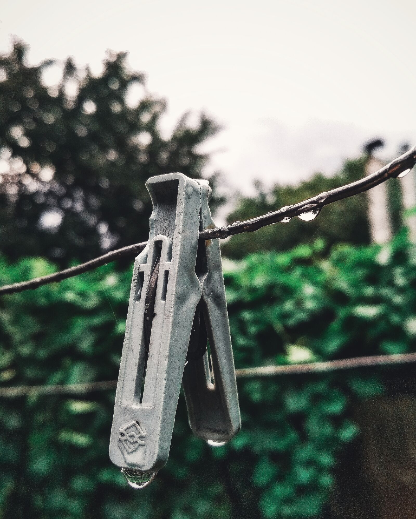Xiaomi Redmi 4X sample photo. Rain, drops, pin photography