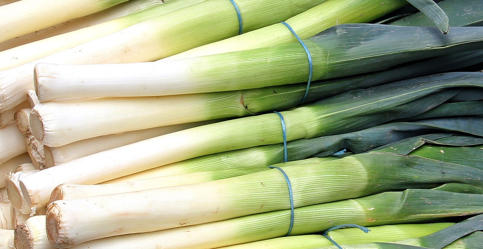 Canon EOS 550D (EOS Rebel T2i / EOS Kiss X4) sample photo. Leek, market, farmers local photography