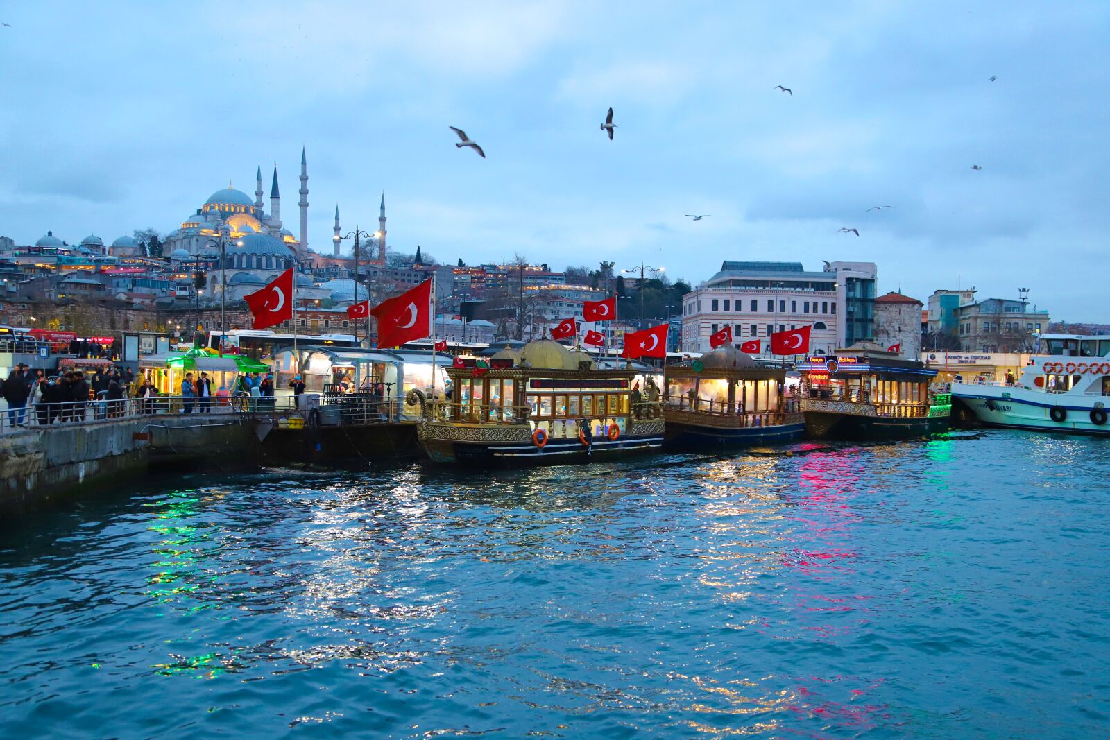 Canon EOS 6D Mark II sample photo. Eminönü, fish, fisherman photography