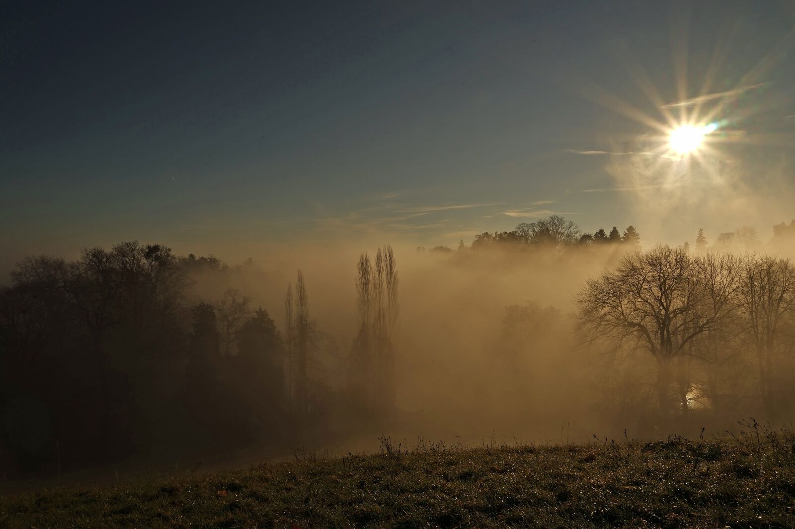 Sony a7 + Sony FE 24-240mm F3.5-6.3 OSS sample photo. Trees, sunbeam, light photography