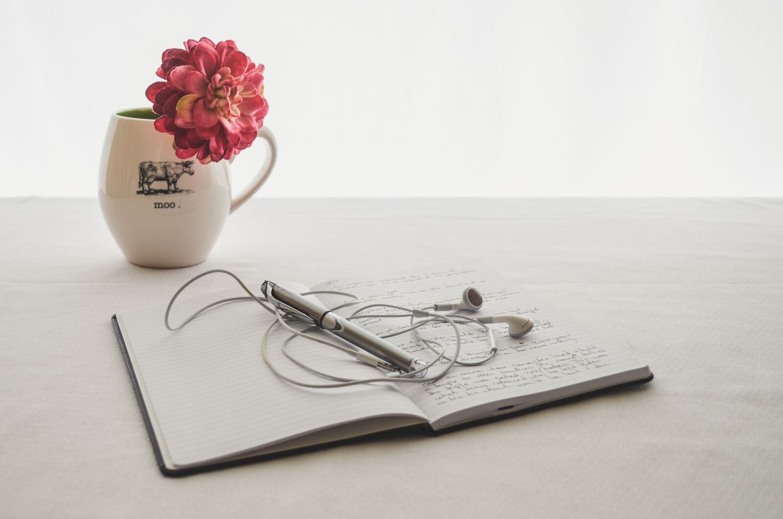 Nikon D5100 sample photo. White, earbuds, journal photography