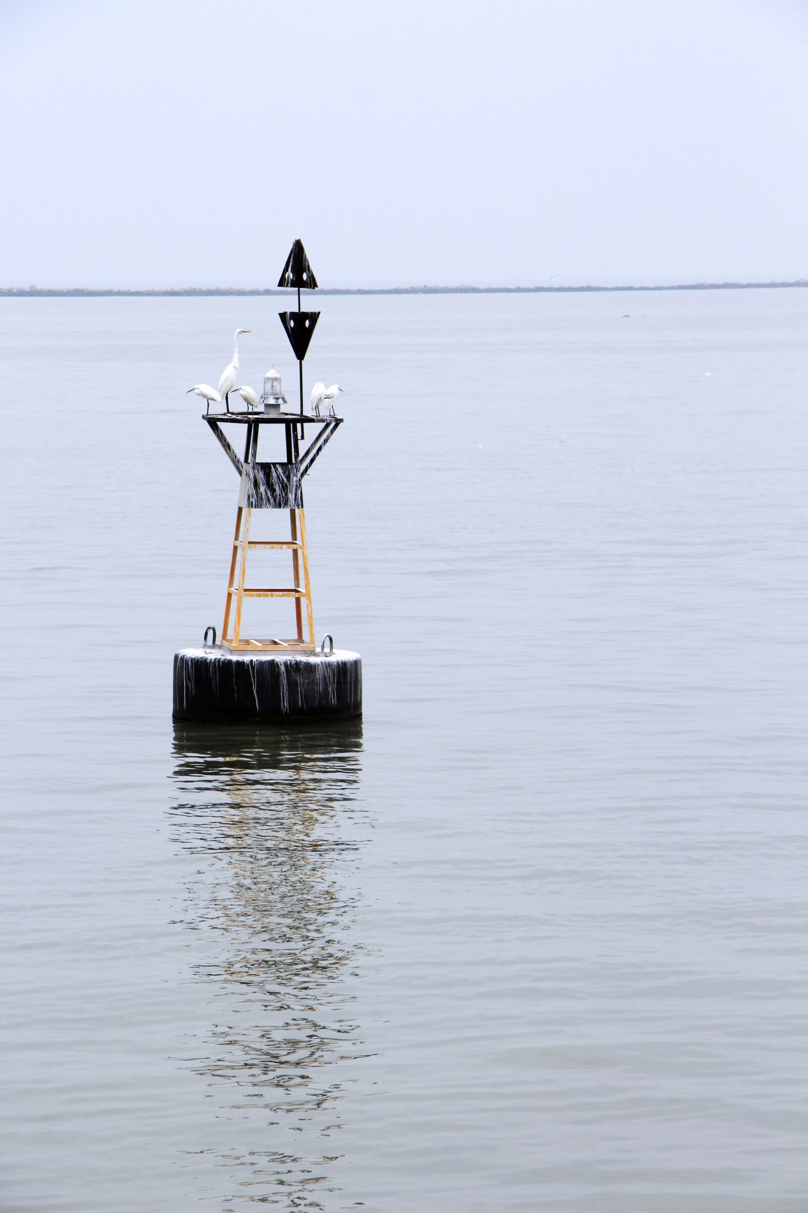 Canon EOS 700D (EOS Rebel T5i / EOS Kiss X7i) sample photo. Sea, buoy, bird photography