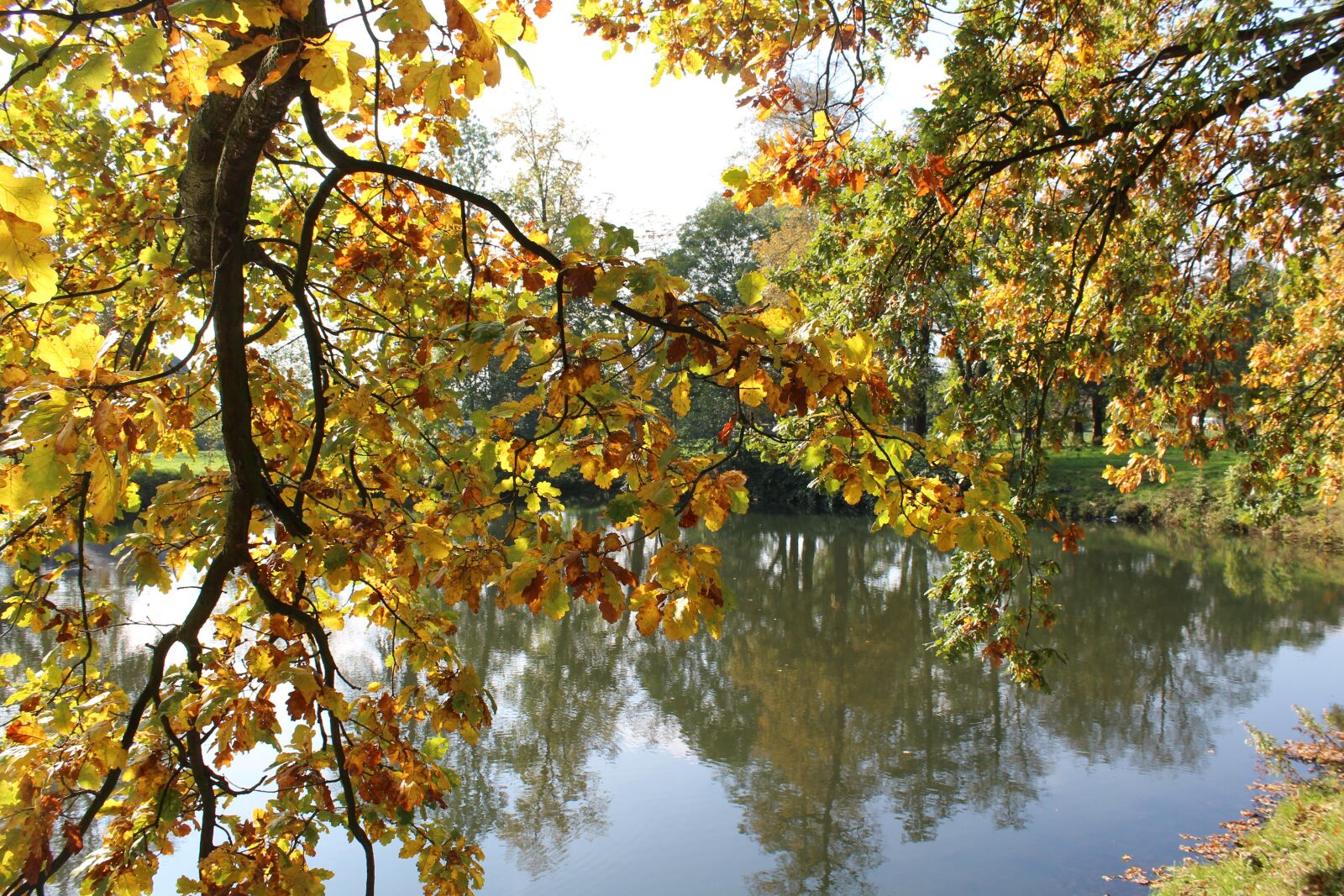 Canon EOS 1200D (EOS Rebel T5 / EOS Kiss X70 / EOS Hi) sample photo. Autumn tree, water, park photography