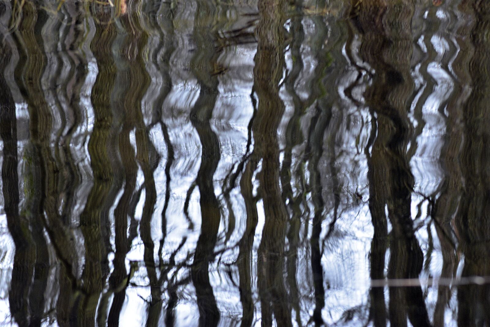 Nikon D3400 sample photo. Lake, water, river photography