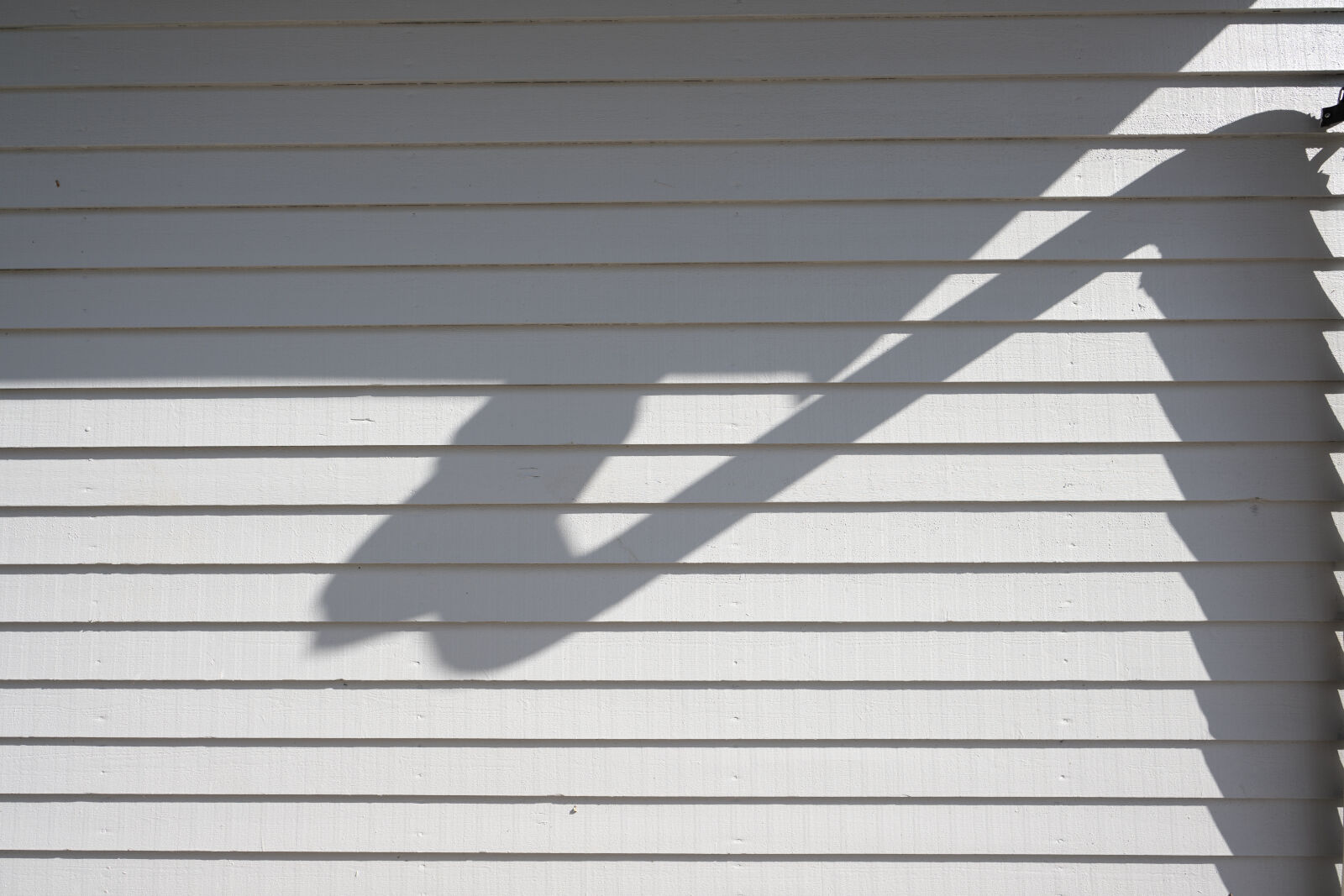 Nikon Nikkor Z 20mm F1.8 S sample photo. Shadow of the wall photography