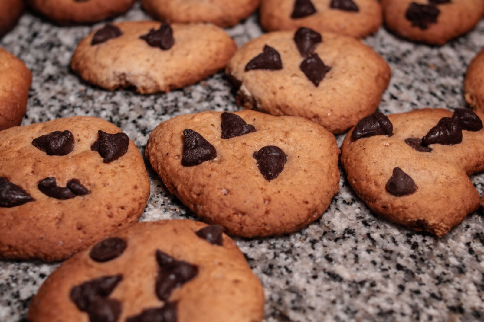 Canon EOS 700D (EOS Rebel T5i / EOS Kiss X7i) sample photo. Cookies, mass, picnic photography