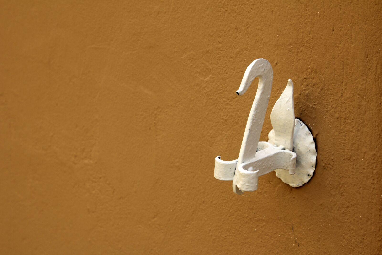 Canon EOS 60D sample photo. Swan, detail, hook photography