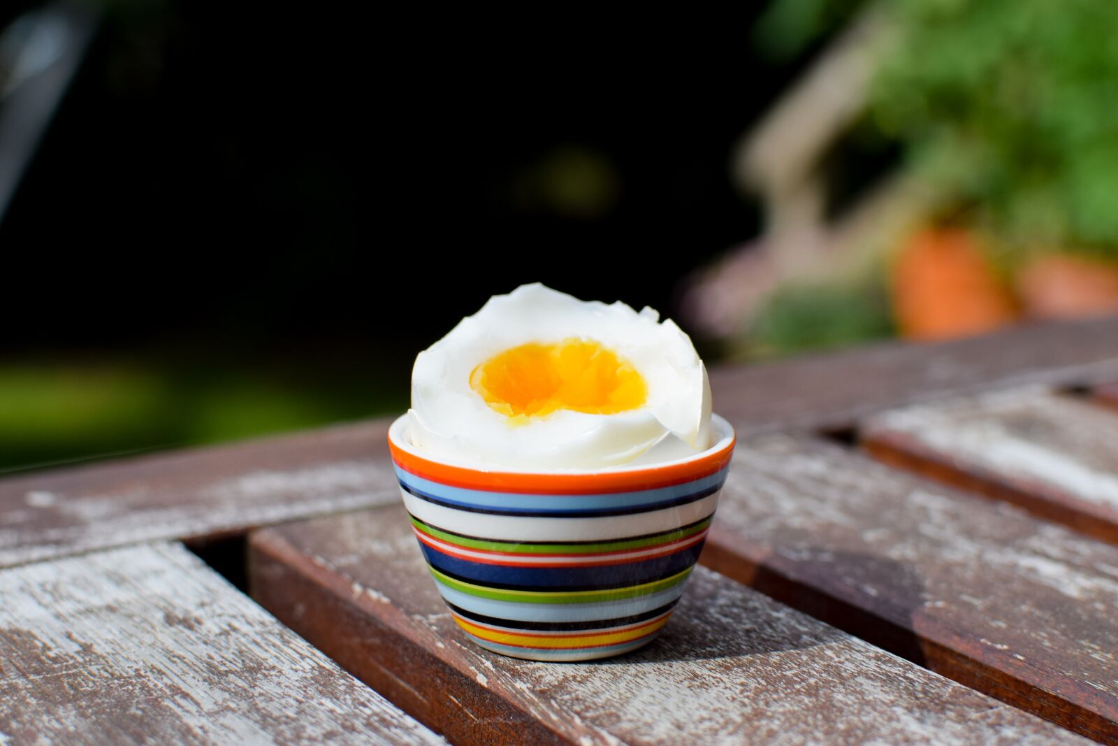 Nikon D3300 sample photo. Eggs, breakfast, summer photography