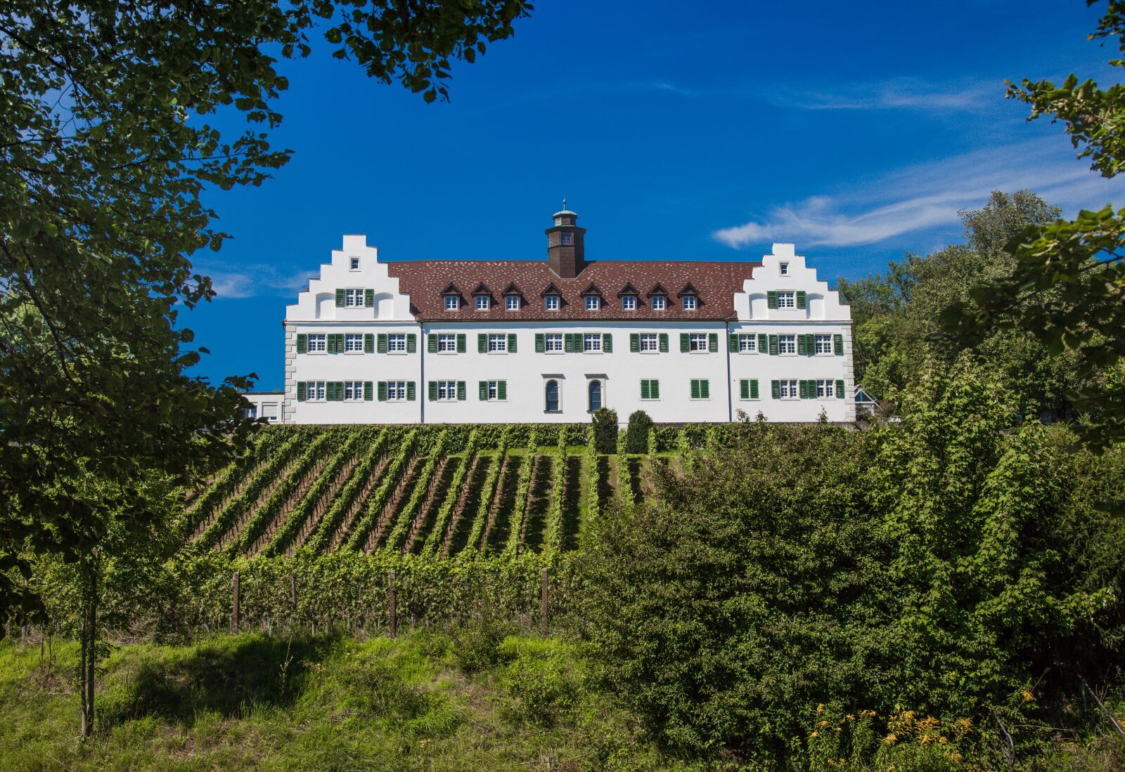 Canon EOS 5D Mark II sample photo. Castle, hersberg, lake constance photography