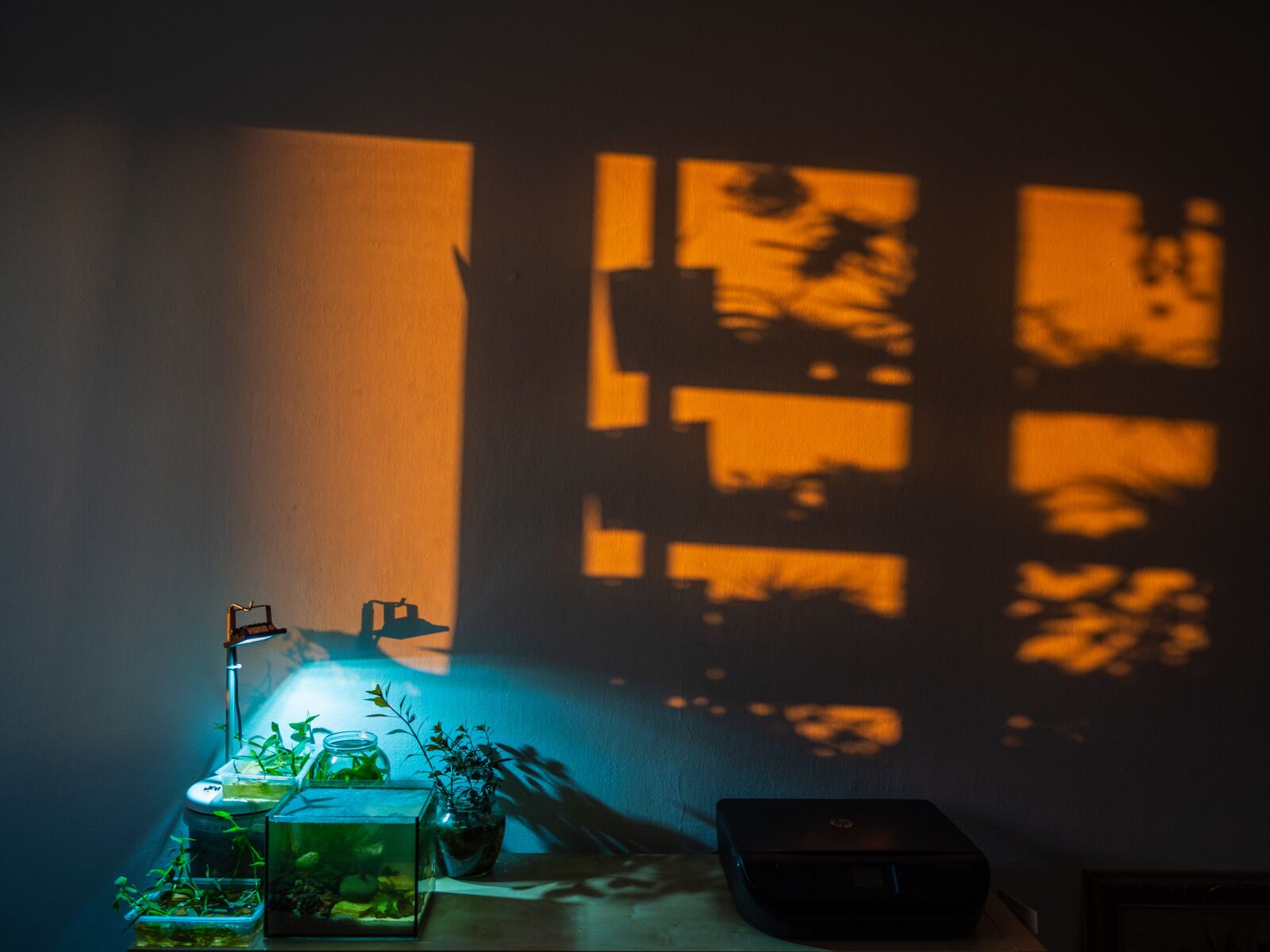 Olympus OM-D E-M10 III sample photo. Glow, orange, light photography