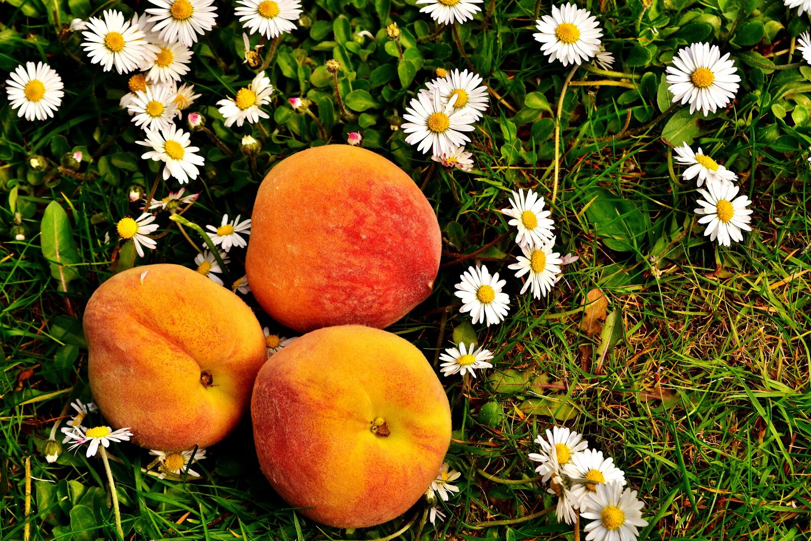 Nikon D7200 sample photo. Peaches, fruit, sweet photography
