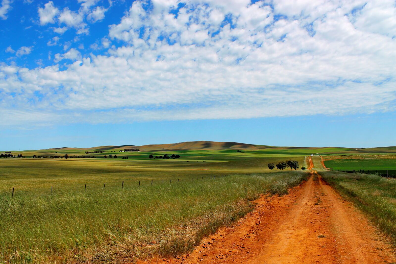 Nikon D3100 sample photo. Australia, burra, cloud, country photography