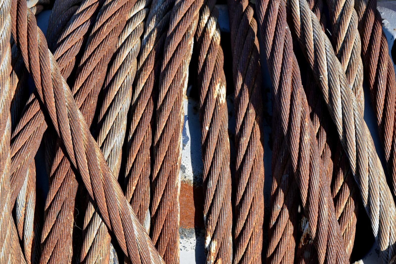 Nikon D5500 sample photo. Metal, rope, rust, steel photography